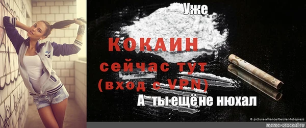 амф Володарск