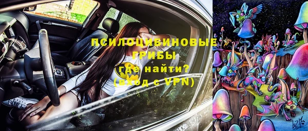 амф Володарск