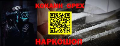 прущие грибы Новозыбков