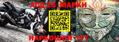 прущие грибы Новозыбков
