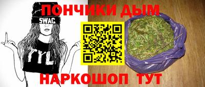 прущие грибы Новозыбков