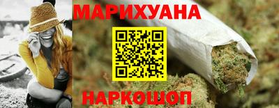 прущие грибы Новозыбков