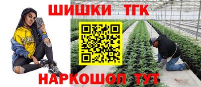 прущие грибы Новозыбков