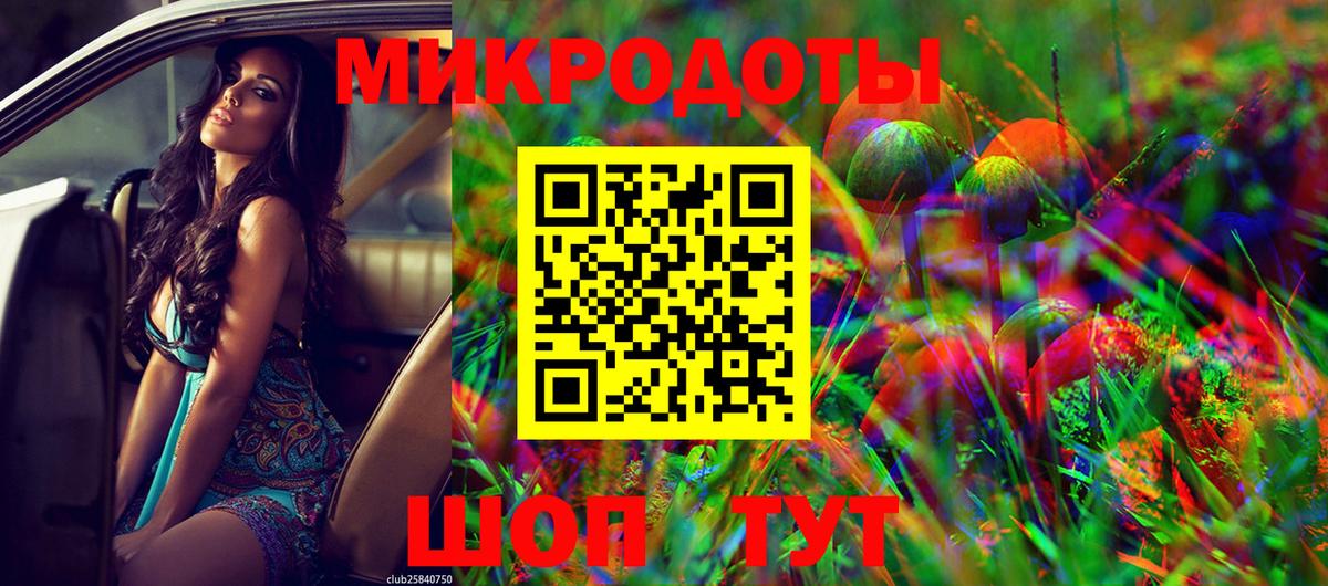Галлюциногенные грибы Psilocybe Славянск-на-Кубани